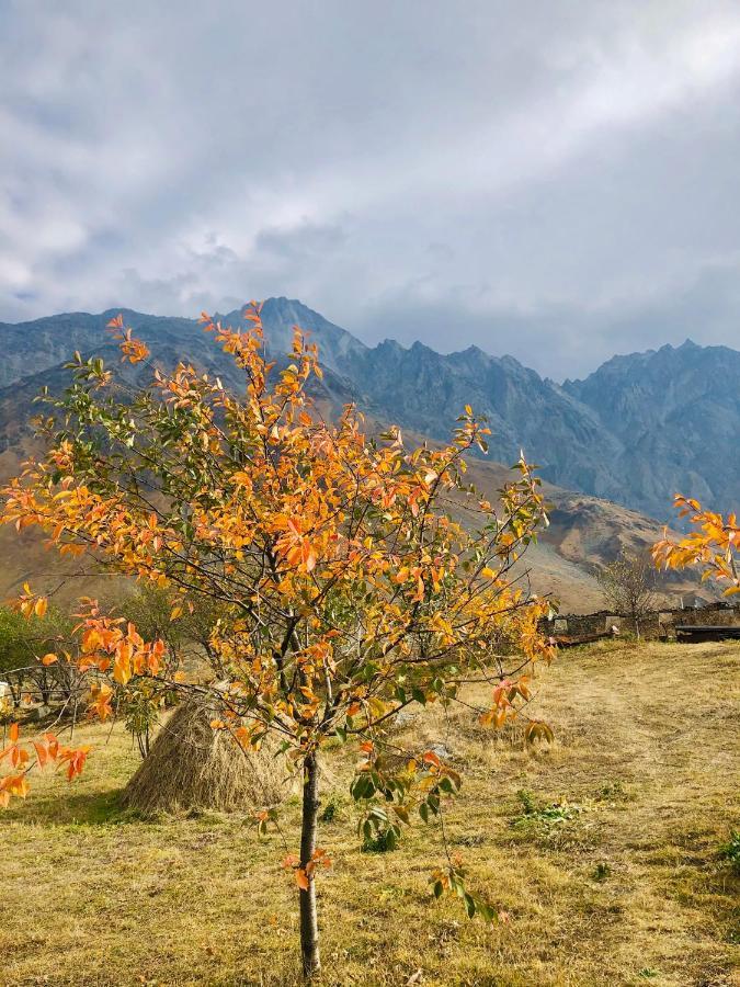 Mikheil Pitskhelauri Guest House Kazbegi Ngoại thất bức ảnh